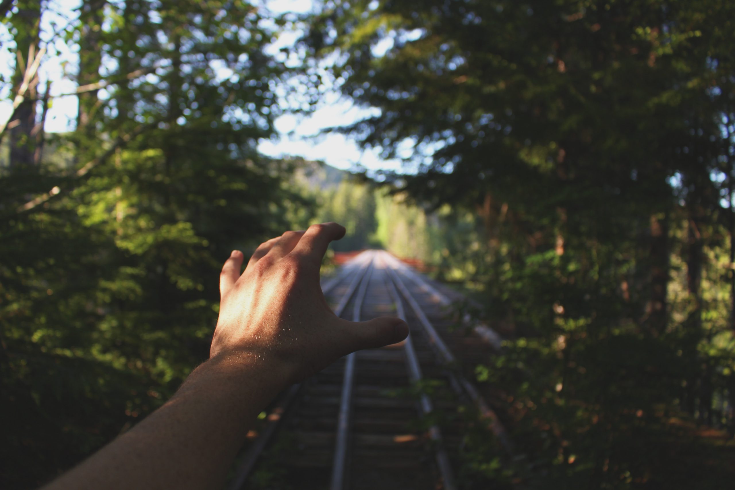 Single Hand in Nature