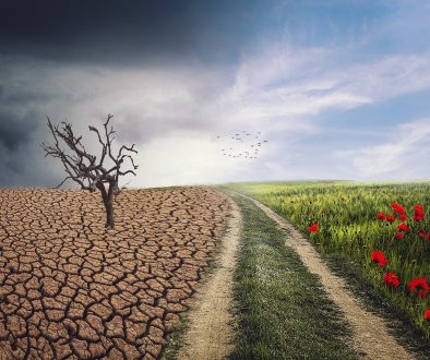 pxclimateaction-4684217_1280