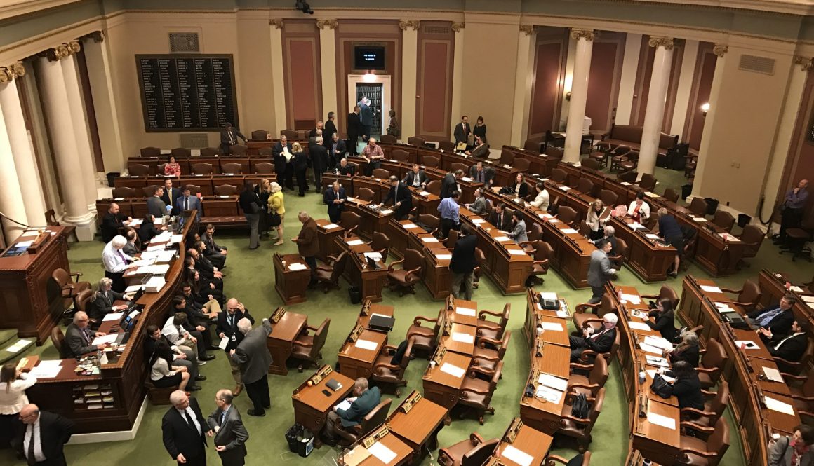 Minnesota House of Representatives in action