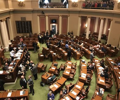 Minnesota House of Representatives in action