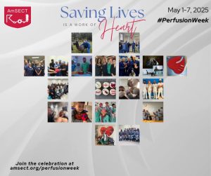 An image composed of 19 photos provided by AmSECT members during Perfusion Week 2025
